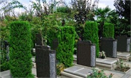 感谢大家给予我父亲无微不至的关心和爱护